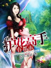护花高手在都市txt下载
